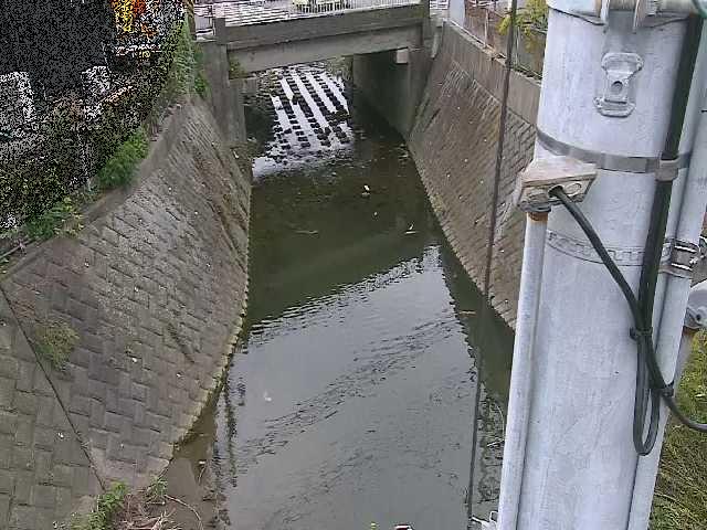 大橋付近のカメラ画像