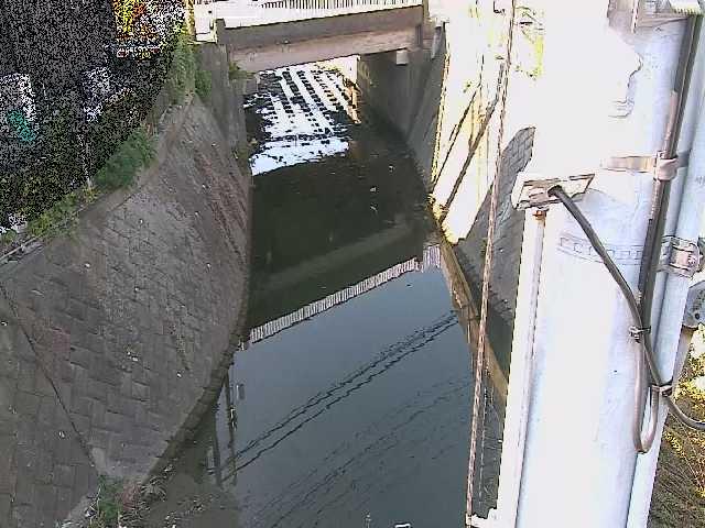 大橋付近のカメラ画像