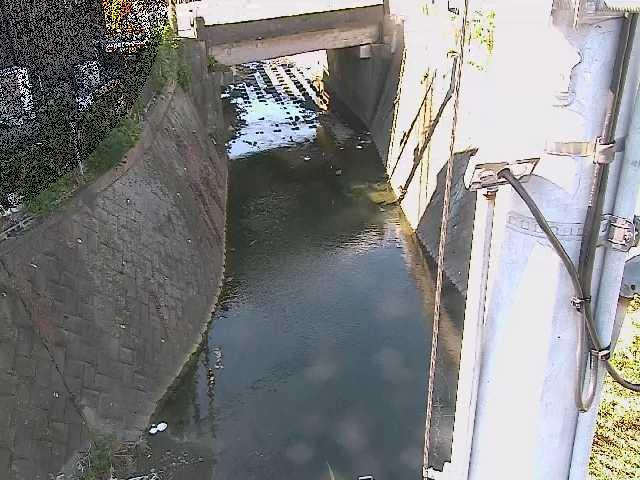 大橋付近のカメラ画像