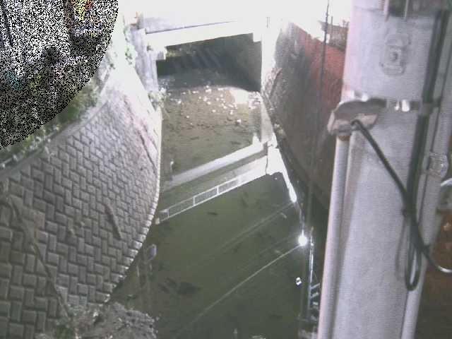 竹川 大橋付近のカメラ画像