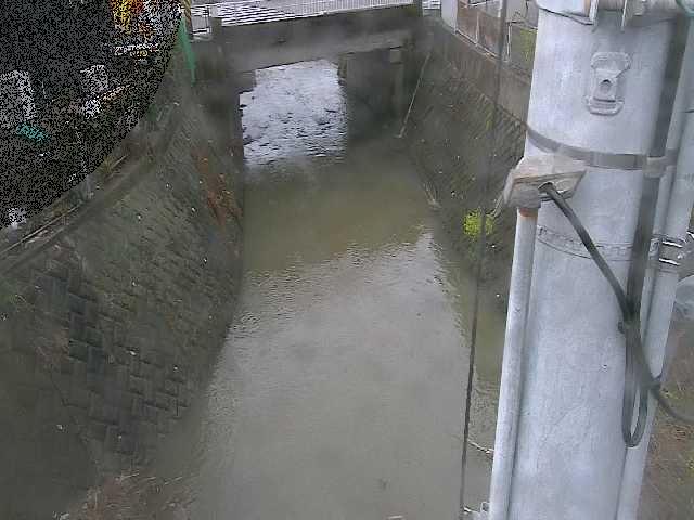 大橋付近のカメラ画像