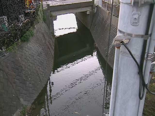 大橋付近のカメラ画像