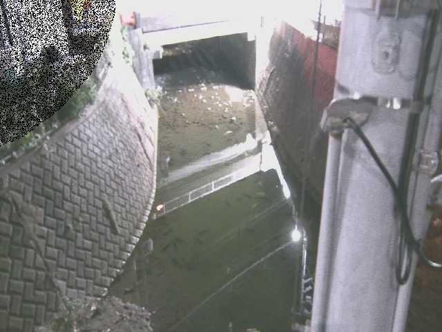 大橋付近のカメラ画像