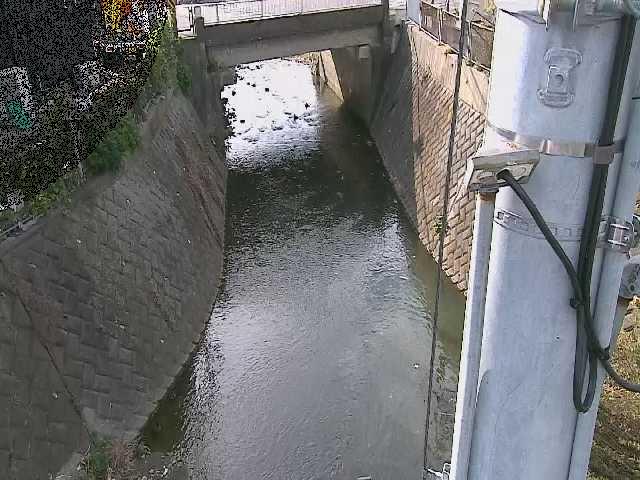 大橋付近のカメラ画像