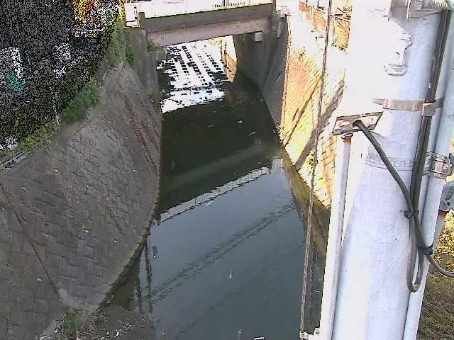 大橋付近のカメラ画像