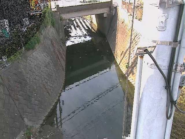 竹川 大橋付近のカメラ画像