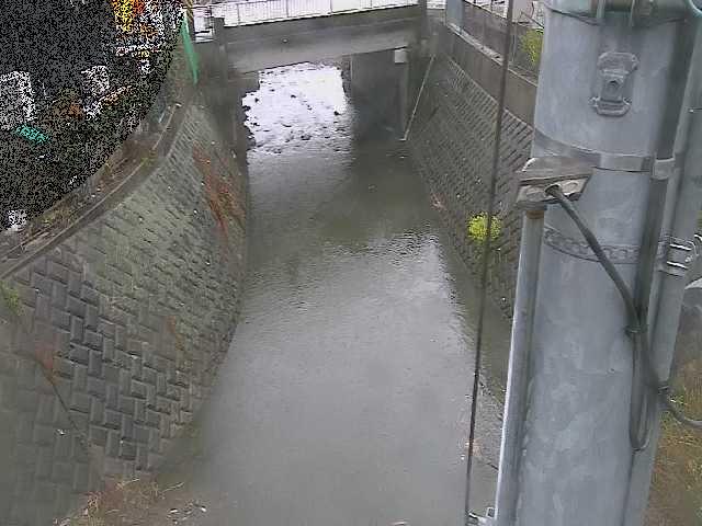 大橋付近のカメラ画像