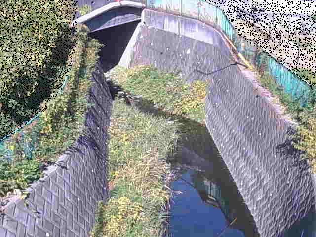 新佐島橋付近のカメラ画像