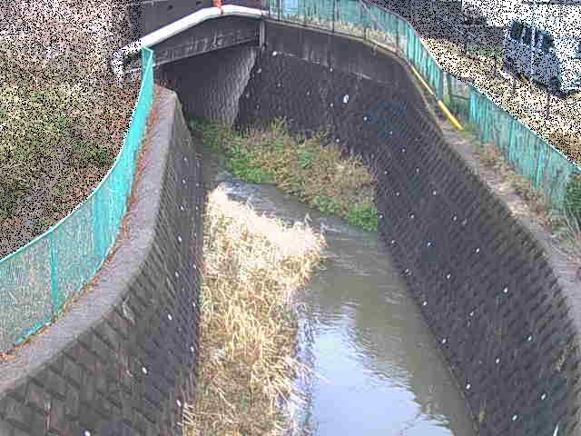 新佐島橋付近のカメラ画像