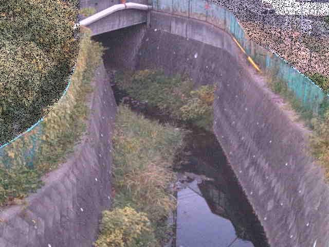 新佐島橋付近のカメラ画像