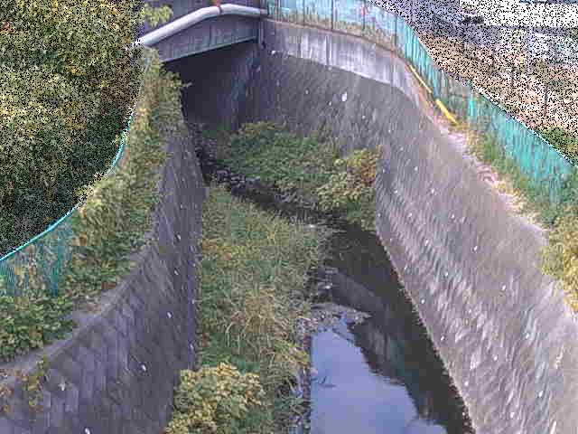 新佐島橋付近のカメラ画像