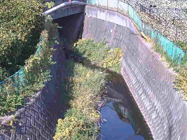 新佐島橋付近のカメラ画像