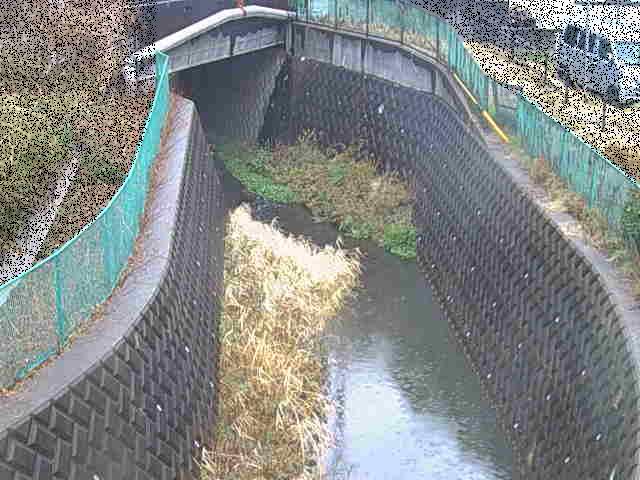 新佐島橋付近のカメラ画像