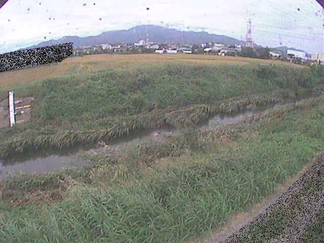 歌川 源氏橋付近のカメラ画像