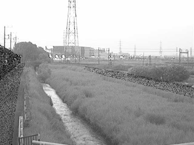 渋田川 若宮橋付近のカメラ画像