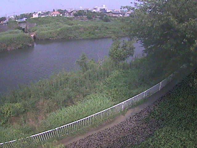 金目川 高麗大橋付近のカメラ画像