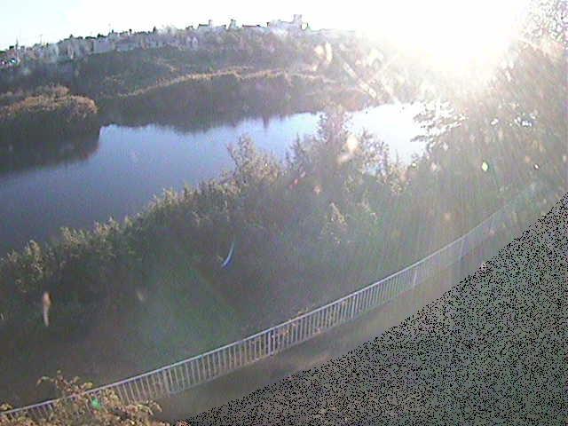 高麗大橋付近のカメラ画像