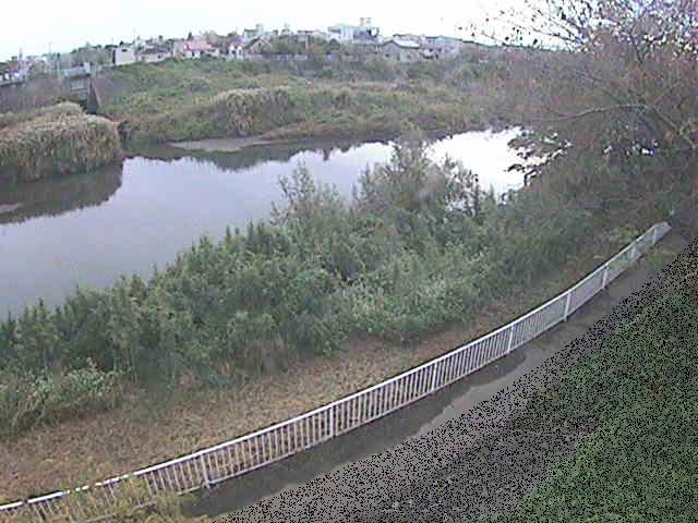 高麗大橋付近のカメラ画像