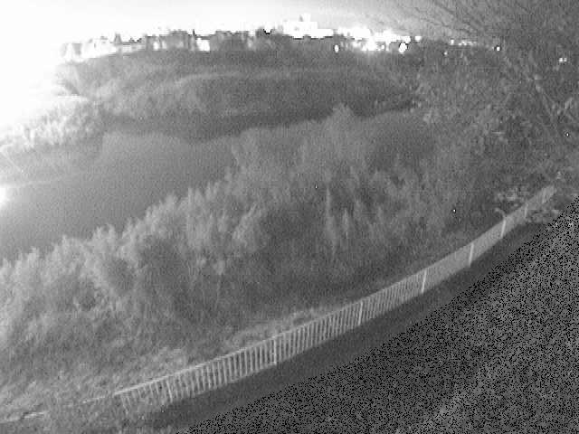 高麗大橋付近のカメラ画像