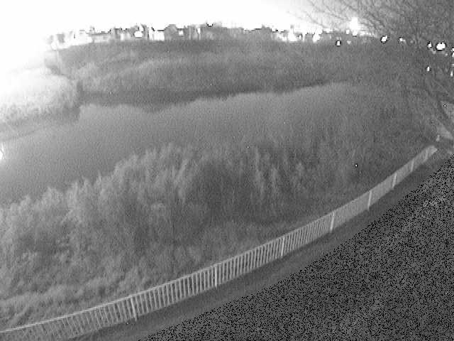 高麗大橋付近のカメラ画像