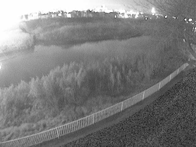 高麗大橋付近のカメラ画像