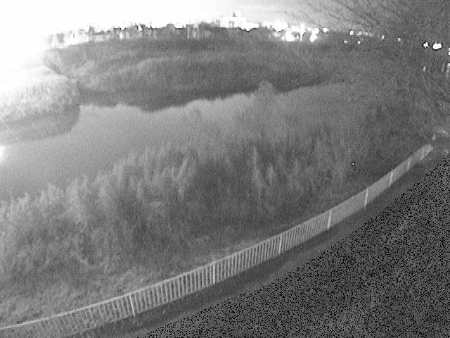 高麗大橋付近のカメラ画像