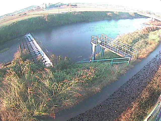 舟橋付近のカメラ画像