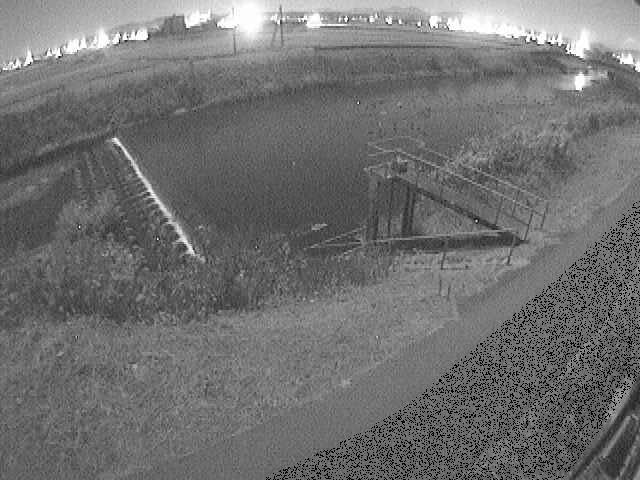 舟橋付近のカメラ画像