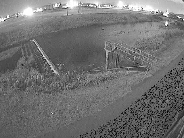 舟橋付近のカメラ画像