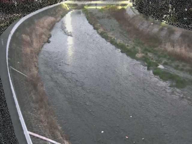 金目川 観音橋付近のカメラ画像