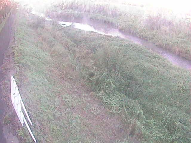 美里橋付近のカメラ画像