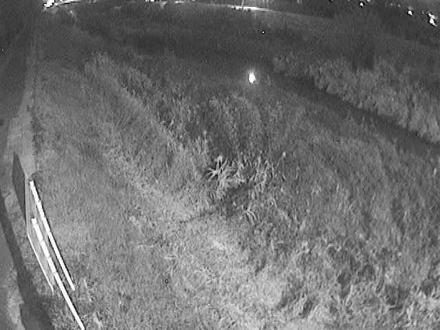 美里橋付近のカメラ画像