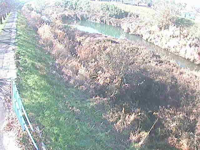 美里橋付近のカメラ画像