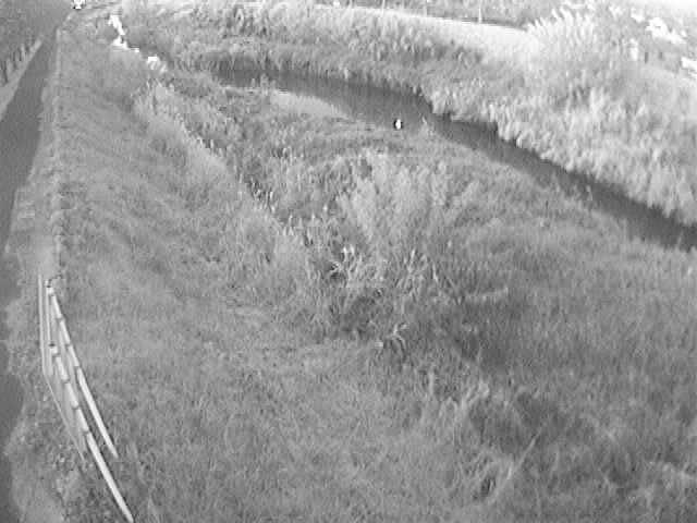 渋田川 美里橋付近のカメラ画像