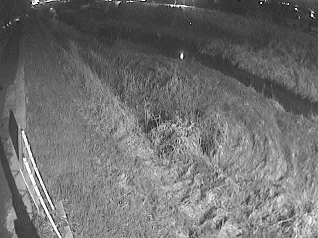 美里橋付近のカメラ画像