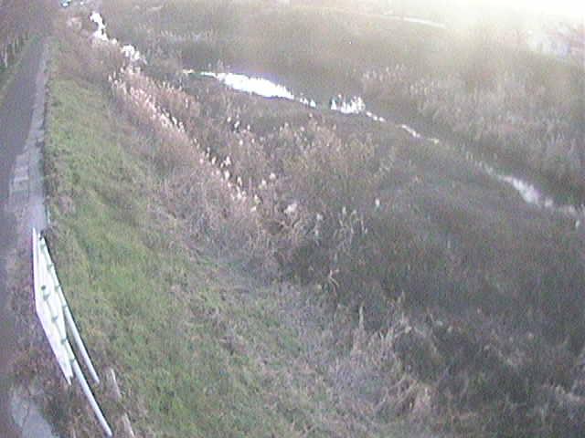 渋田川 美里橋付近のカメラ画像