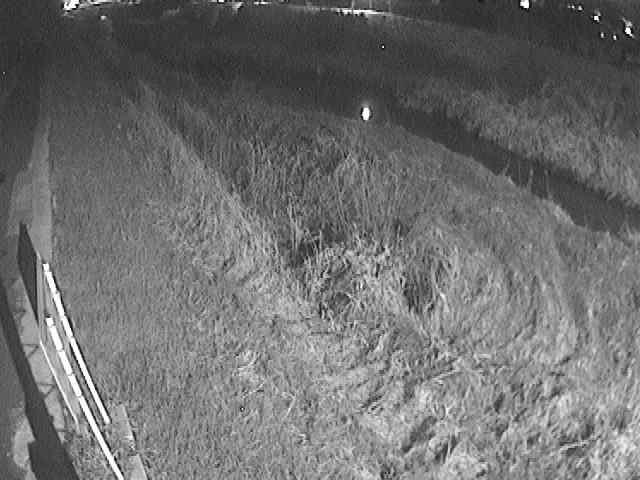 美里橋付近のカメラ画像