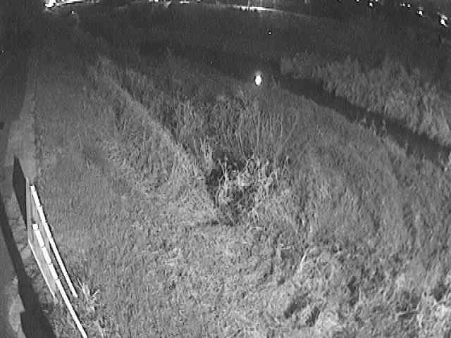 美里橋付近のカメラ画像