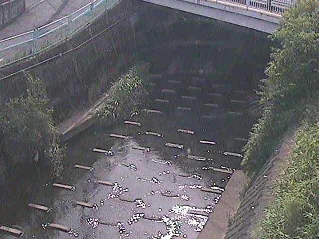 塩海橋付近のカメラ画像