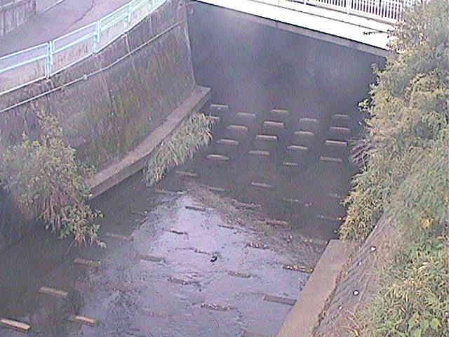 塩海橋付近のカメラ画像