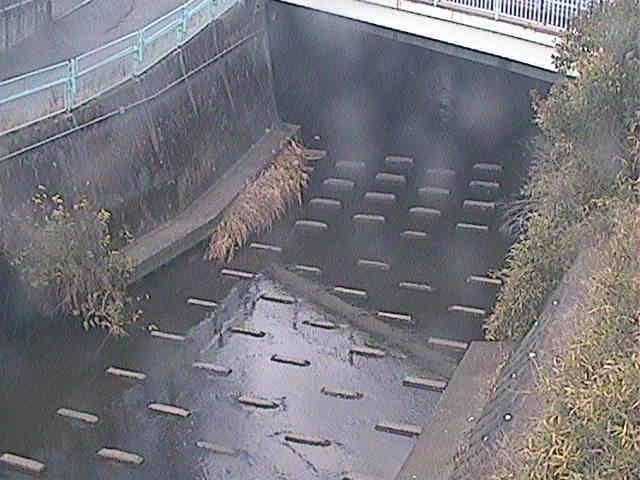 塩海橋付近のカメラ画像