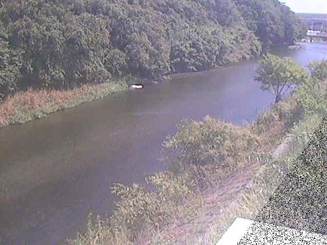 金目川 中里橋付近のカメラ画像