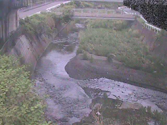 泉橋付近のカメラ画像