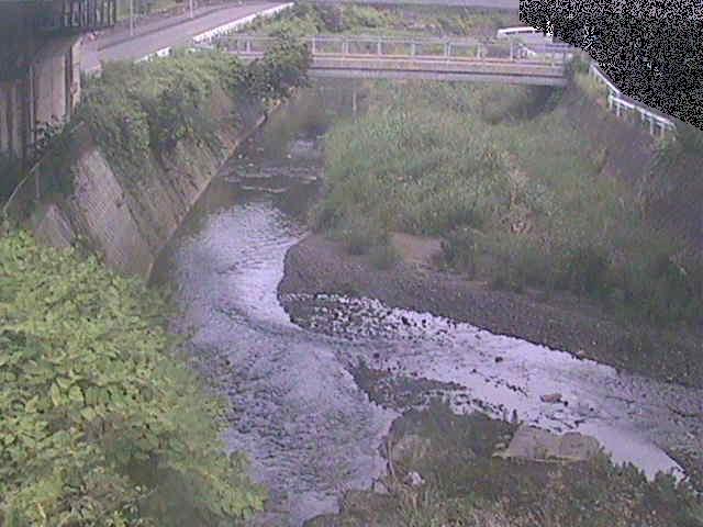 泉橋付近のカメラ画像