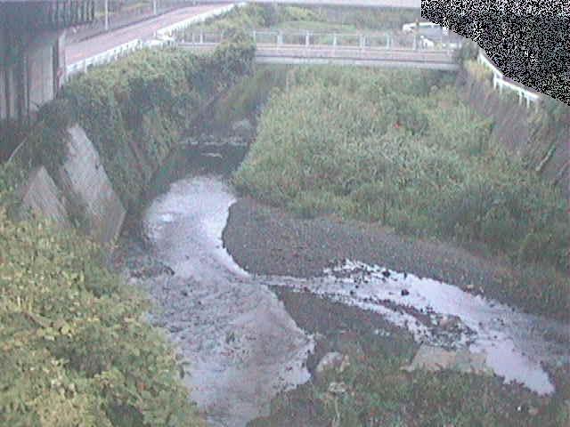 不動川 泉橋付近のカメラ画像