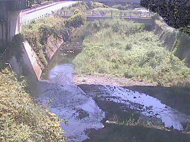 不動川 泉橋付近のカメラ画像