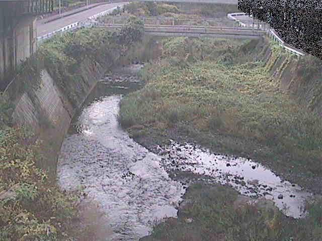 泉橋付近のカメラ画像