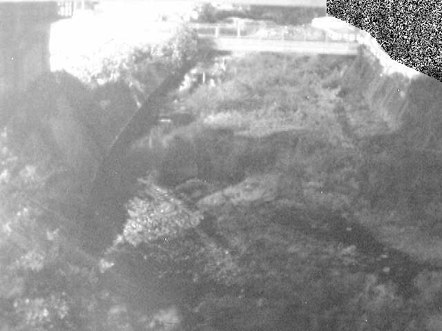 泉橋付近のカメラ画像