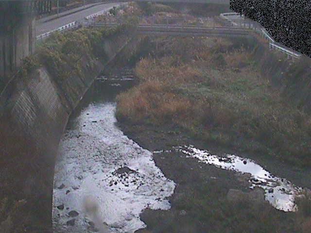 泉橋付近のカメラ画像