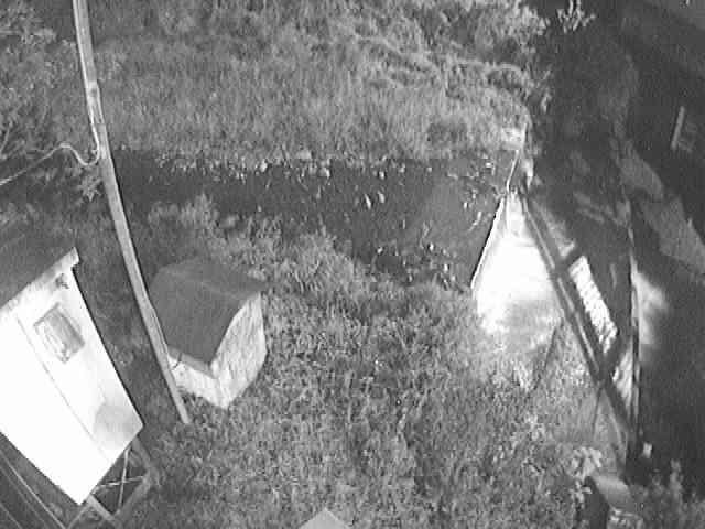 新甘柿橋付近のカメラ画像